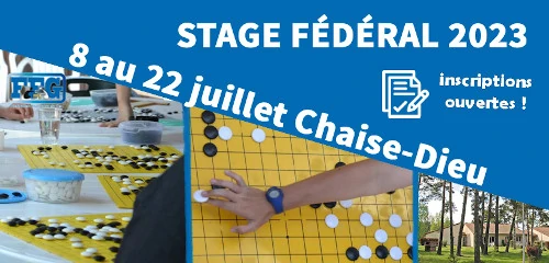 Poster du stage d'été de go 2023